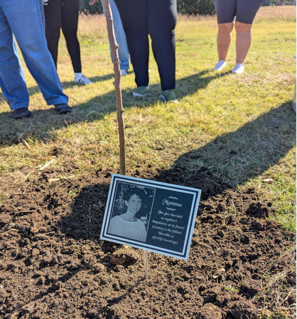 A young tree planted in soil, supported by a plaque with a photograph and text, surrounded by people standing on grassy ground. 