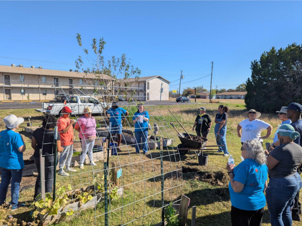 A diverse group of people gathers outdoors for a community gardening event on a sunny day.