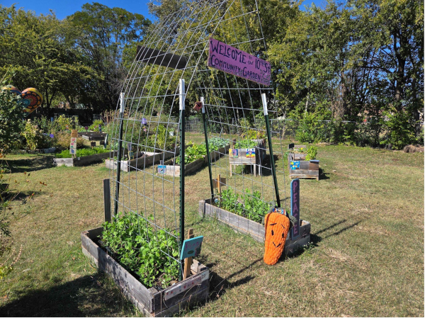 Community garden with raised beds full of greenery and a welcoming sign. A metal archway frames the entrance, adorned with a playful pumpkin decoration, under a clear blue sky.