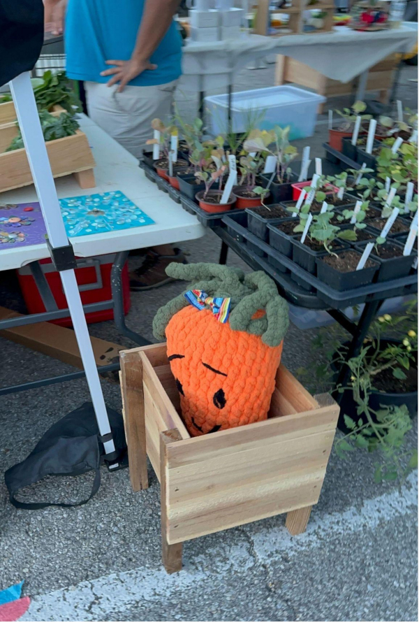 A plush carrot toy is placed in a wooden box amid potted plants on a market table.
