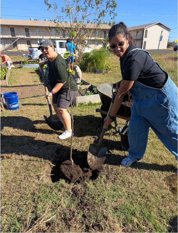 Two women smiling while planting a small tree in a grassy area, using shovels. They are near a wheelbarrow, under clear blue skies.