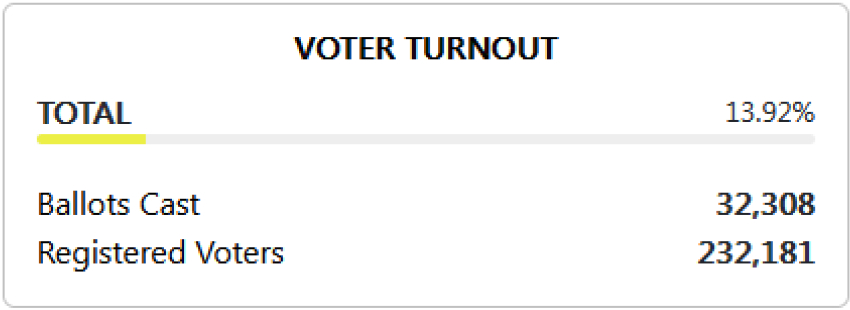 Voter turnout graphic showing 13 turnout. Ballots cast: 32308 Registered voters: 232181. Thin yellow progress bar visualizes turnout.