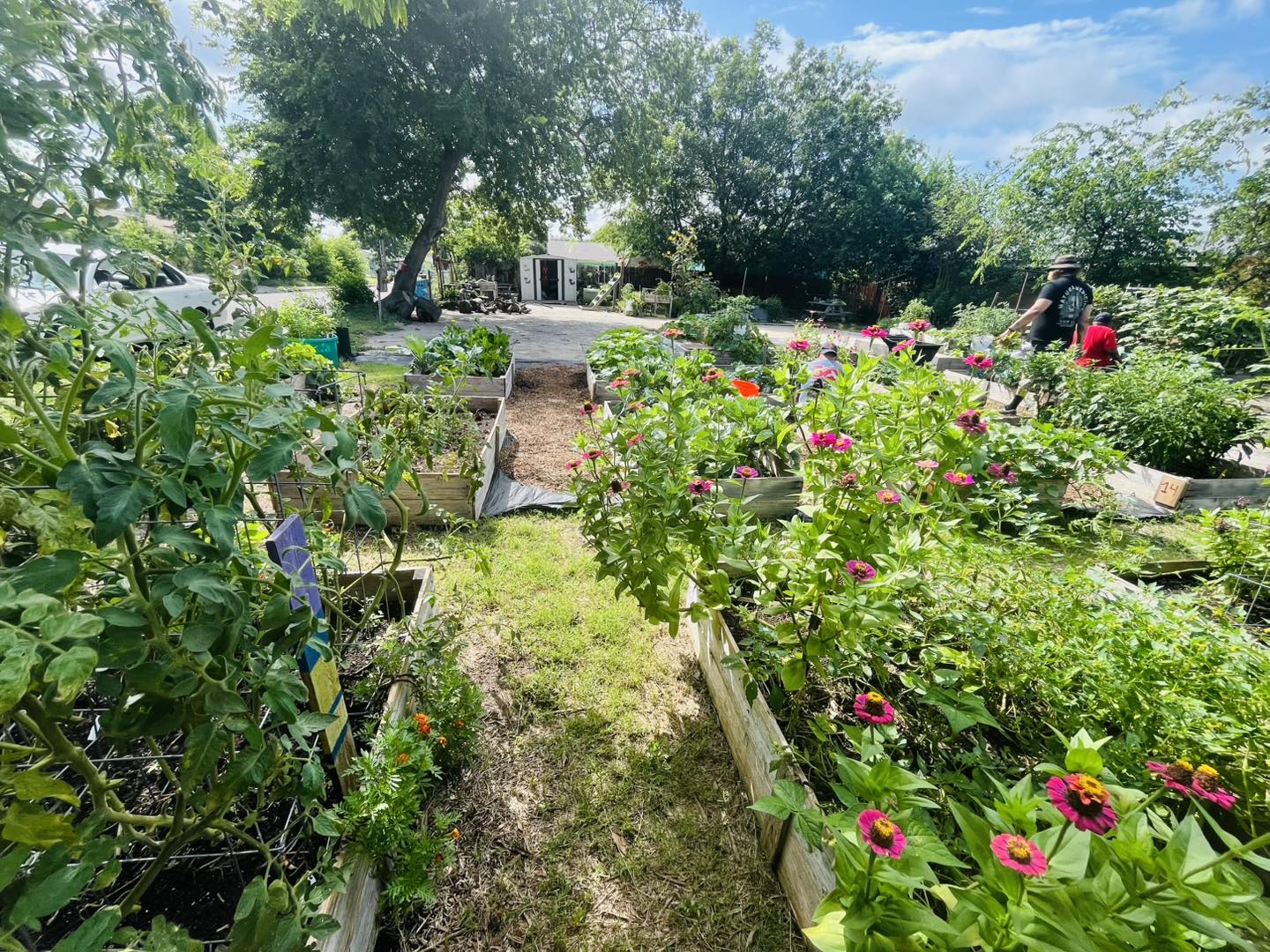July Garden