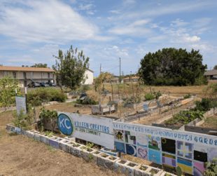 Raised garden beds and the Killeen Creators garden sign with the greenhouse behind.