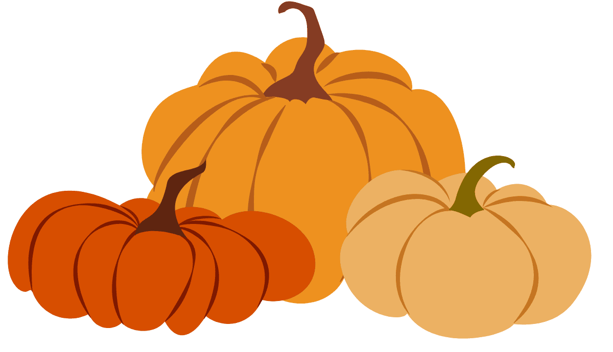 Fall pumpkins and gourds welcoming readers to the October newsletter and a new season of programs.