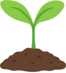Small seedling sprouting to mark the new two-year Hogg Foundation grant for community-led recovery work.