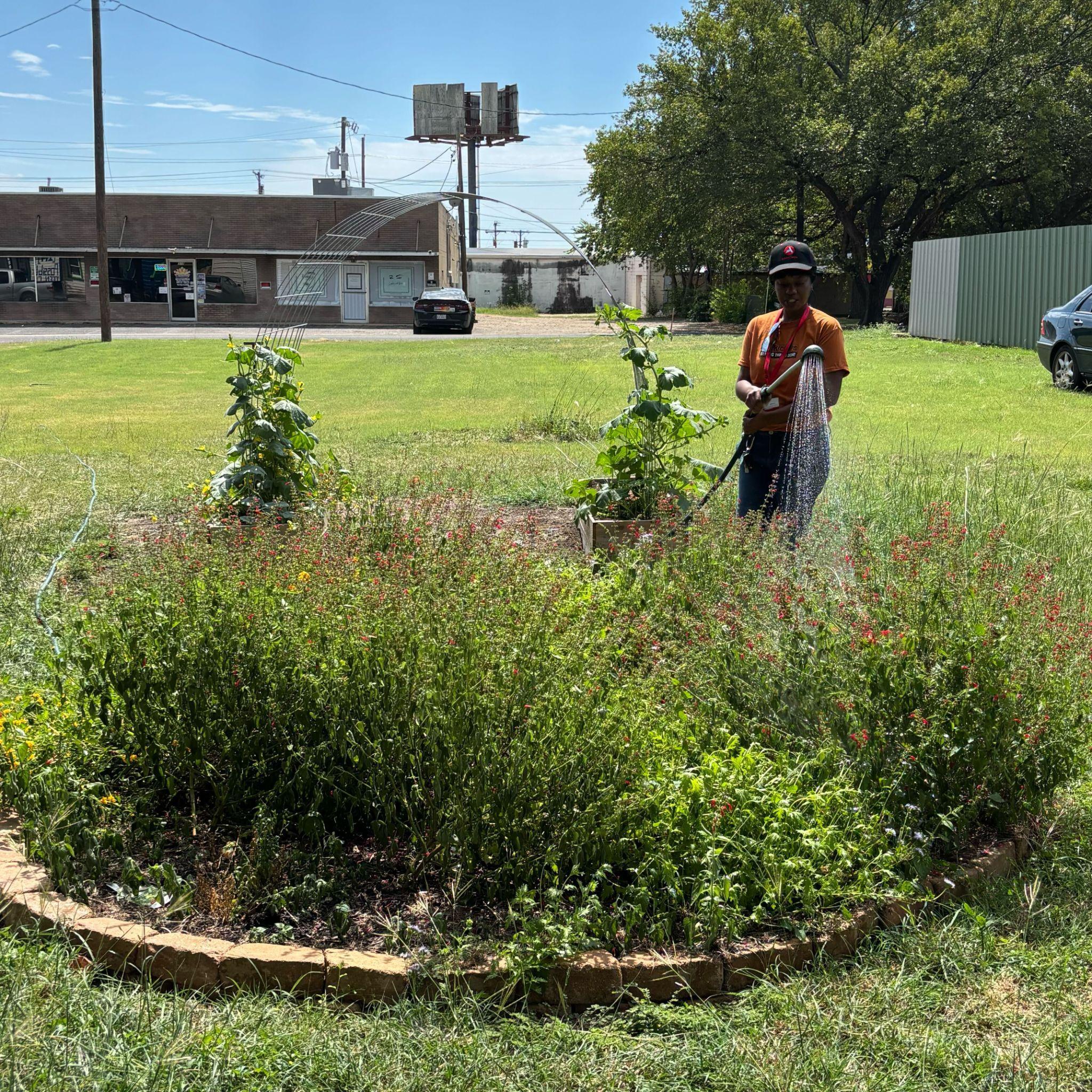 Community Garden
