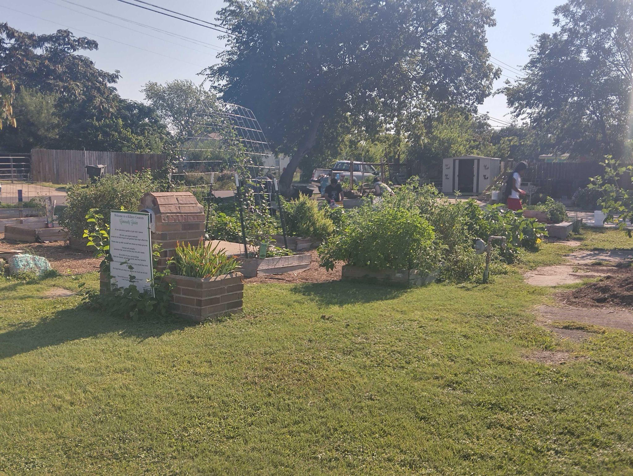 Community Garden