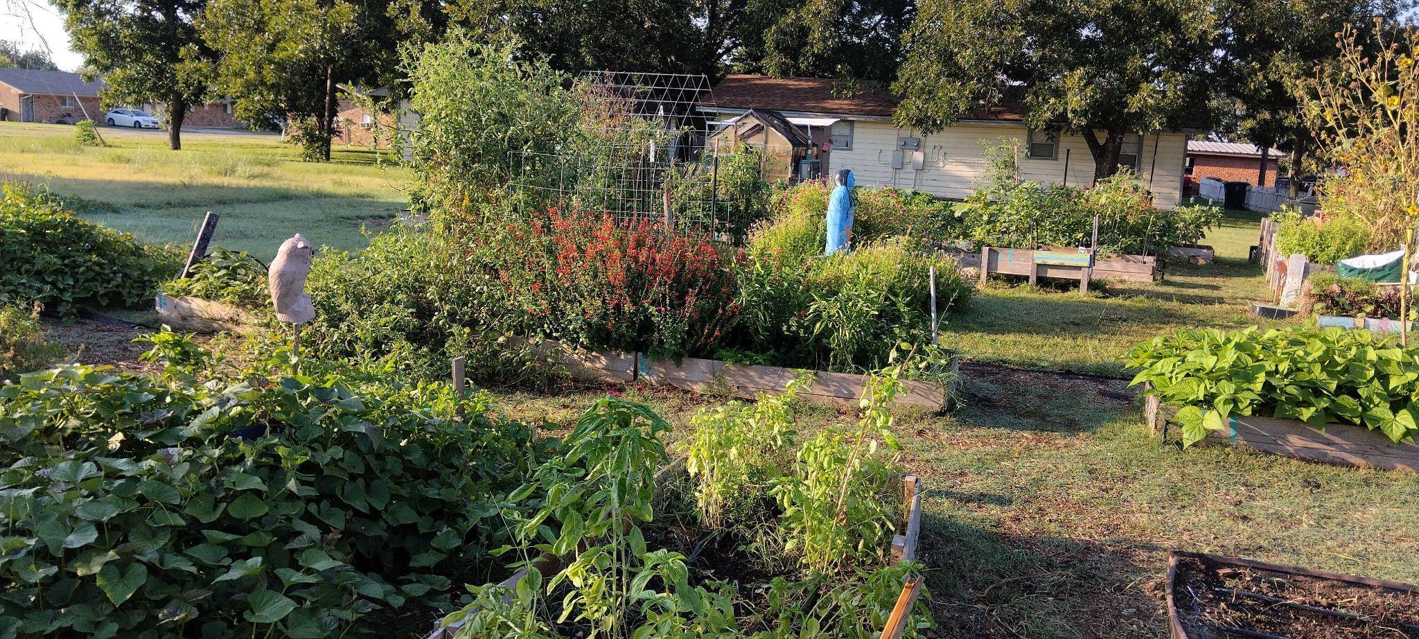 Community Garden