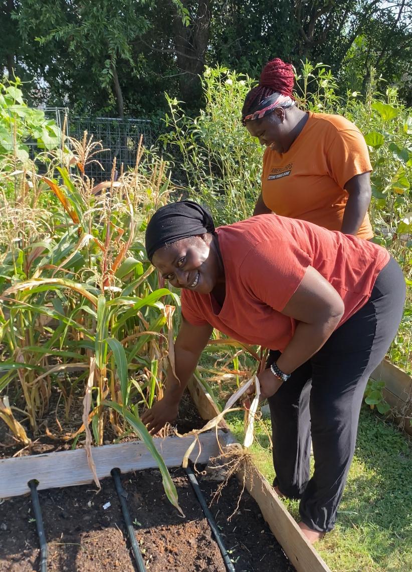 Community Garden