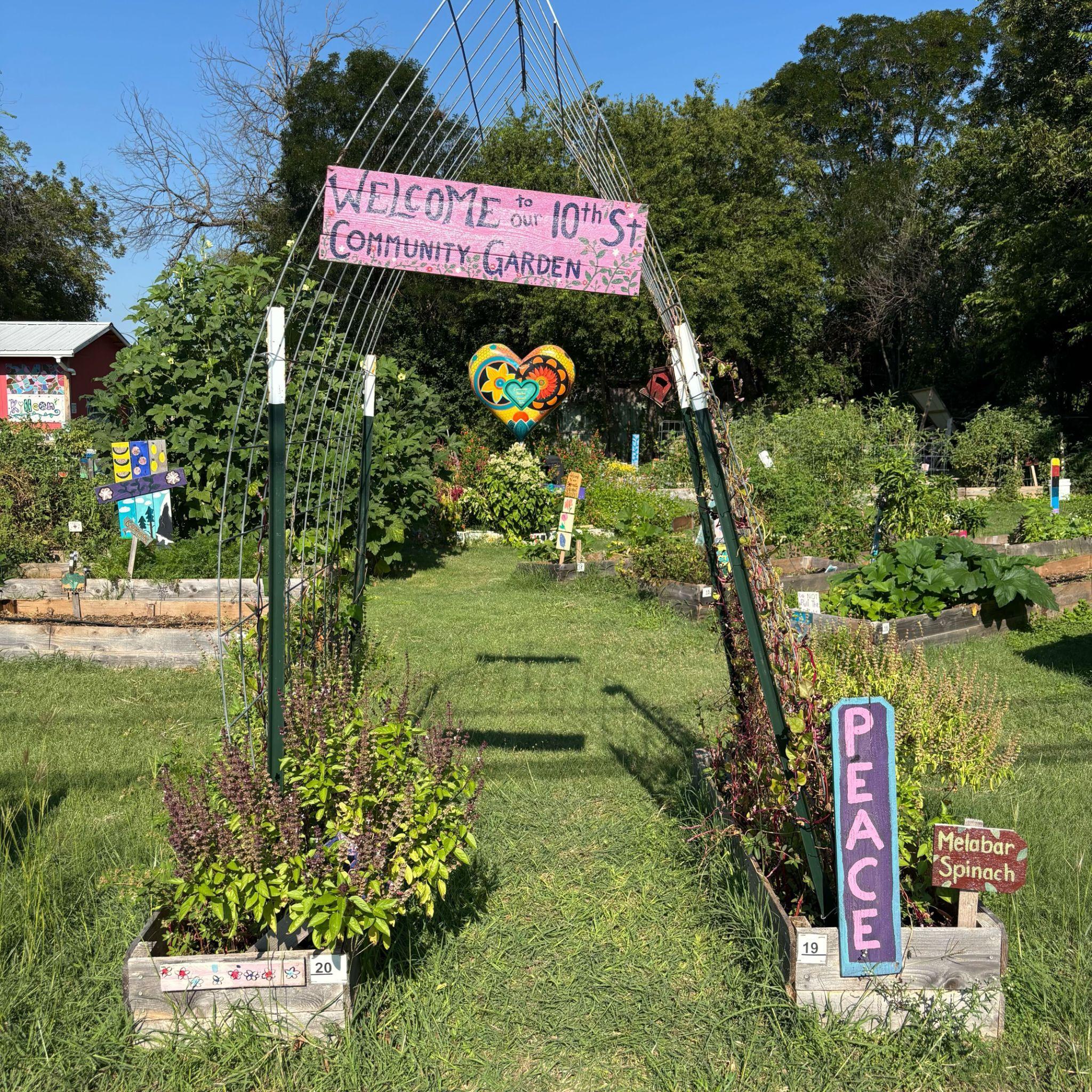Community Garden
