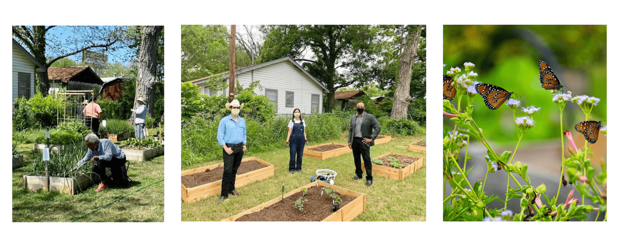Support Killeen Creators: donate to community gardens, art recovery, and civic engagement programs.
